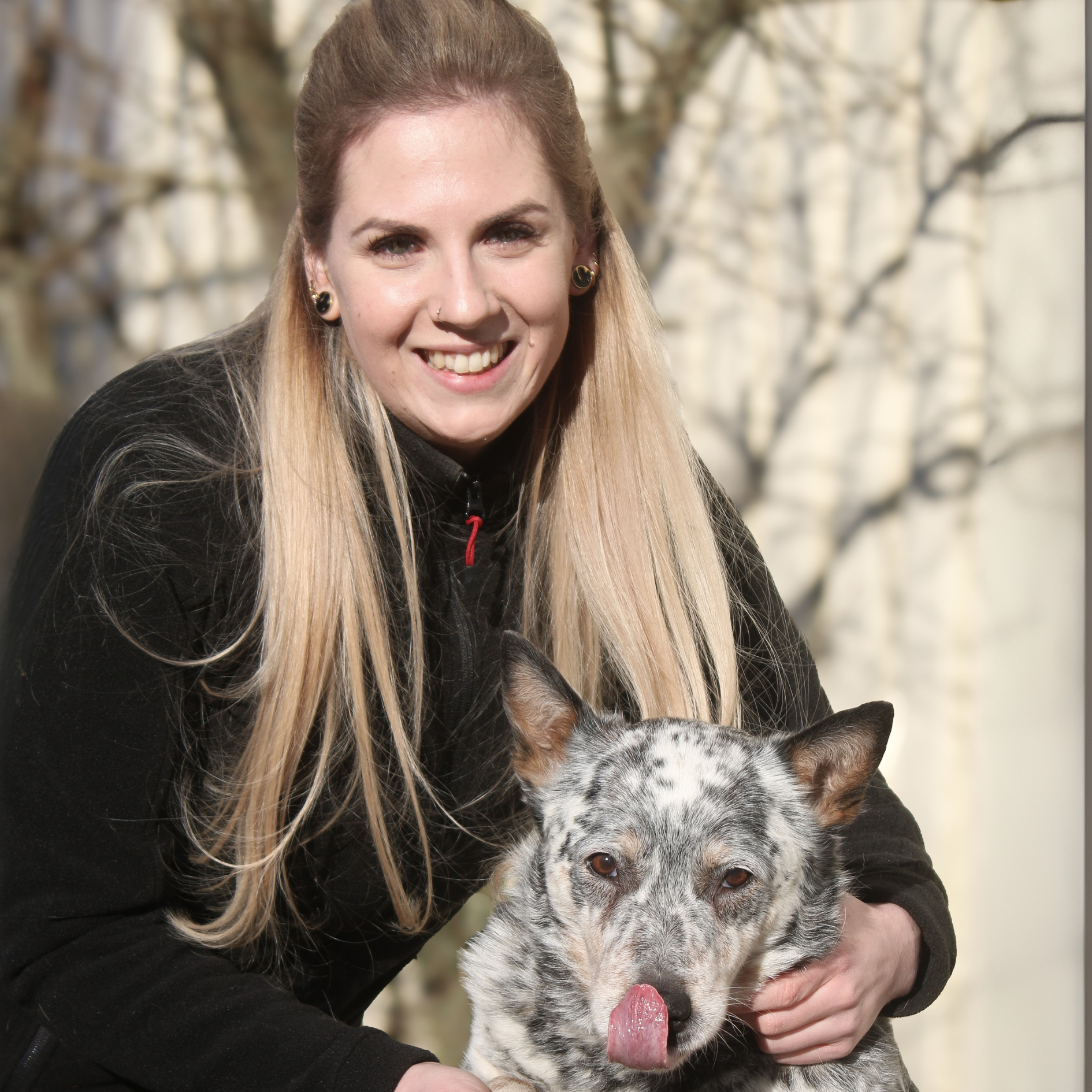 Profil Equima-Tiertherapie-Maite-Stopp-Physiotherapie-Pferd-Pferdephysiotherapie-Pferdetaping-Magnetfeldtherapie-Pferdeakupunktur-Saarbruecken-Saarland-Lothringen-Luxemburg-Rheinland-Pfalz-3a-min
